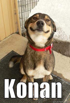  KONAN Good Dog Greg