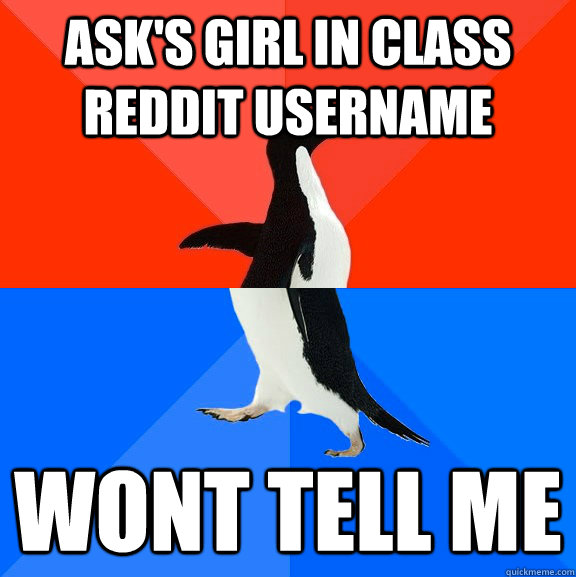 Ask's girl in class reddit username Wont tell me  Socially Awesome Awkward Penguin