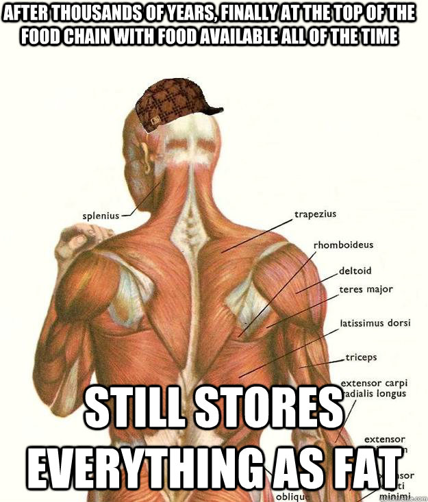 After thousands of years, finally at the top of the food chain with food available all of the time still stores everything as fat  Scumbag body