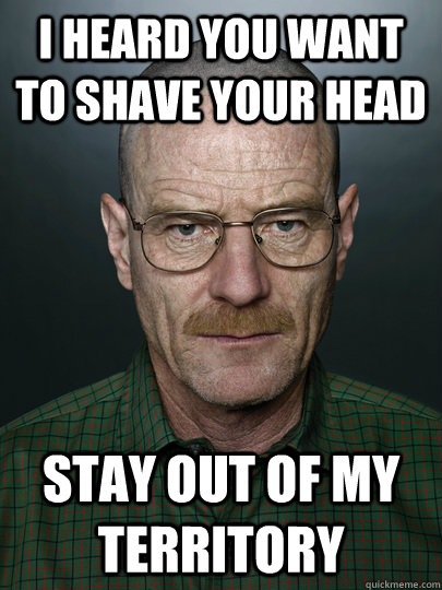 I heard you want to shave your head Stay out of my territory   Advice Walter White