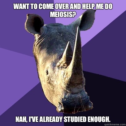 Want to come over and help me do meiosis? Nah, I've already studied enough.  Sexually Oblivious Rhino