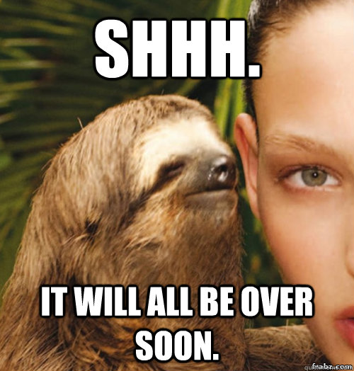 Shhh. It will all be over soon.  rape sloth