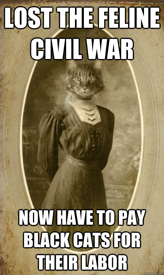 lost the feline civil war now have to pay black cats for their labor - lost the feline civil war now have to pay black cats for their labor  1890s Cat Problems