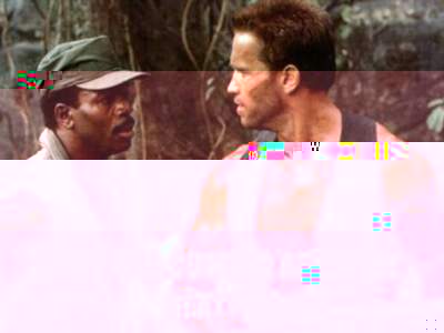  They are coming after me next??!!  