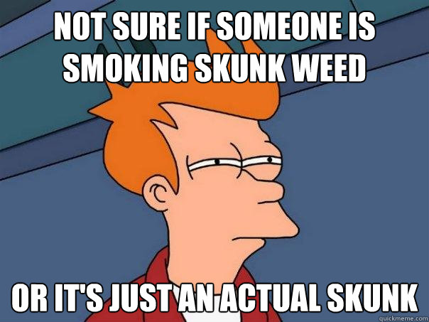 not sure if someone is smoking skunk weed or it's just an actual skunk  Futurama Fry