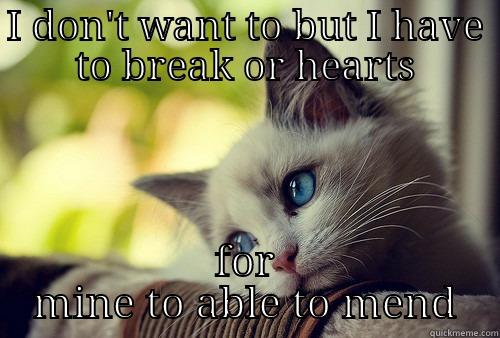 I DON'T WANT TO BUT I HAVE TO BREAK OR HEARTS FOR MINE TO ABLE TO MEND First World Problems Cat