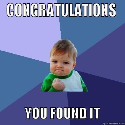 CONGRATULATIONS            YOU FOUND IT          Success Kid