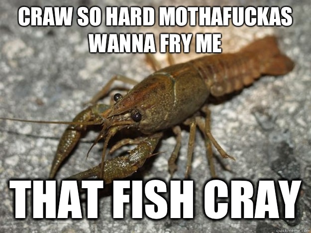 Craw so hard mothafuckas wanna fry me that fish cray  that fish cray