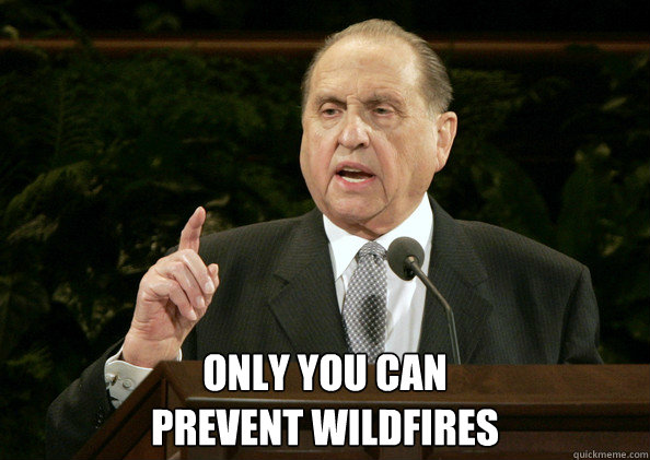  Only you can
prevent wildfires  