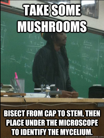 take some mushrooms Bisect from cap to stem, then place under the microscope to identify the mycelium. - take some mushrooms Bisect from cap to stem, then place under the microscope to identify the mycelium.  Rasta Science Teacher
