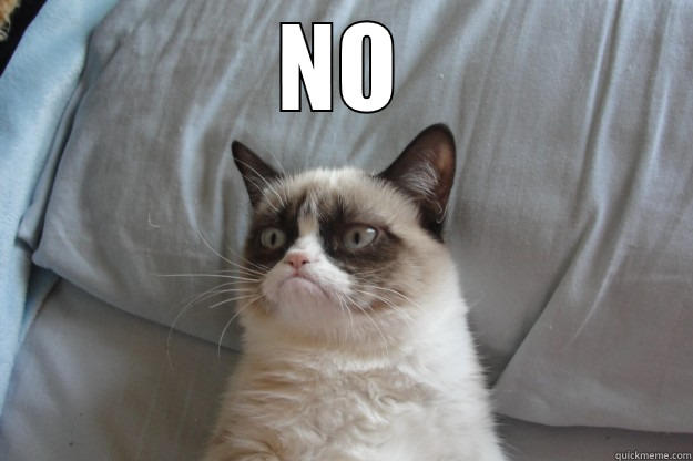 grumpy cat says no - NO  Grumpy Cat