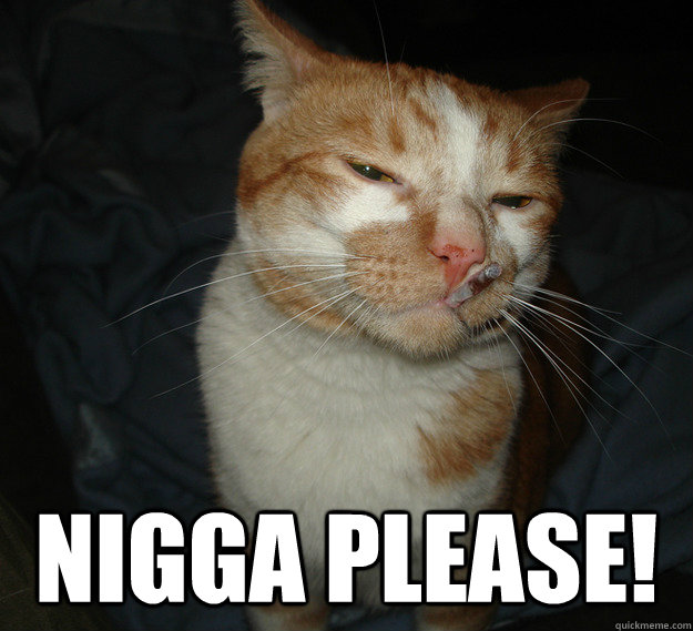  Nigga Please!  Cool Cat Craig
