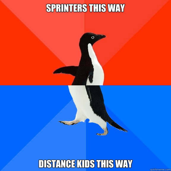 Sprinters this way Distance kids this way  Socially Awesome Awkward Penguin