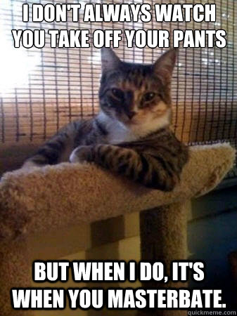 i don't always watch you take off your pants but when i do, it's when you masterbate.  The Most Interesting Cat in the World