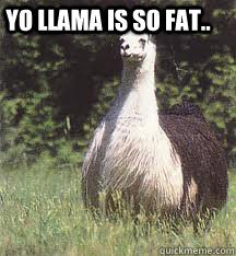  Yo LLama is so fat..  Yo llama jokes