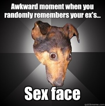 Awkward moment when you randomly remembers your ex's... Sex face  Depression Dog