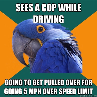 Sees a cop while driving going to get pulled over for going 5 mph over speed limit  Paranoid Parrot