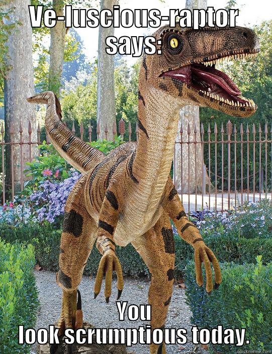 VE-LUSCIOUS-RAPTOR SAYS: YOU LOOK SCRUMPTIOUS TODAY. Misc