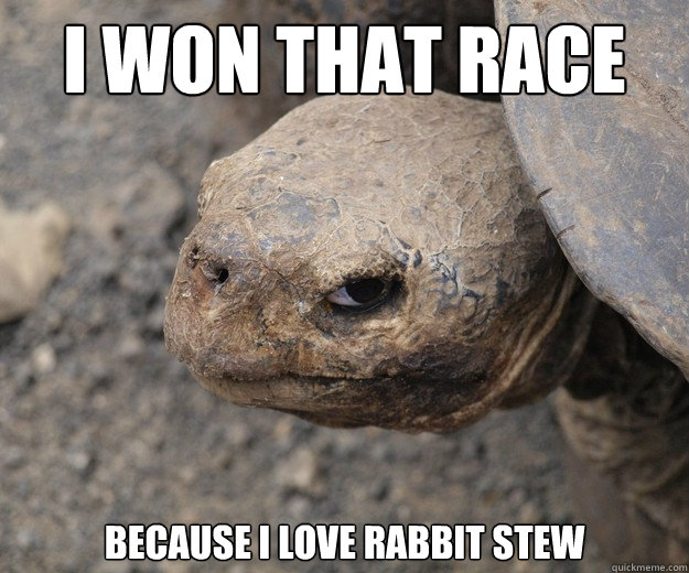 I won that race because I love rabbit stew  Insanity Tortoise