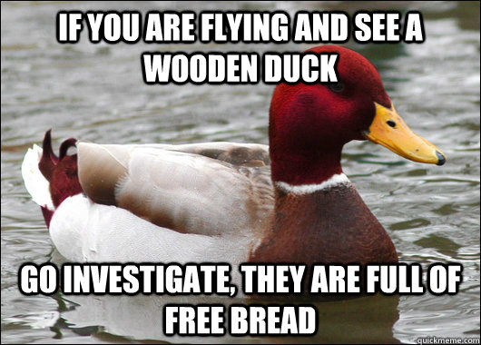 if you are flying and see a wooden duck go investigate, they are full of free bread  Malicious Advice Mallard