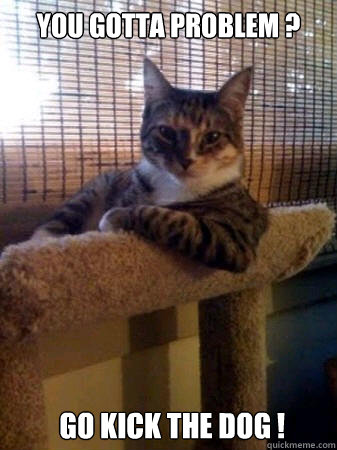 you gotta problem ?  go kick the dog !  The Most Interesting Cat in the World