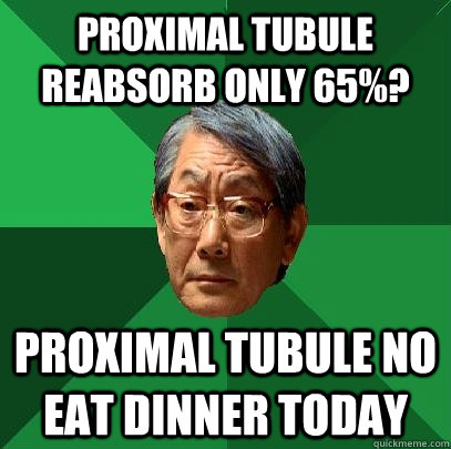 proximal tubule reabsorb only 65%? proximal tubule no eat dinner today  High Expectations Asian Father