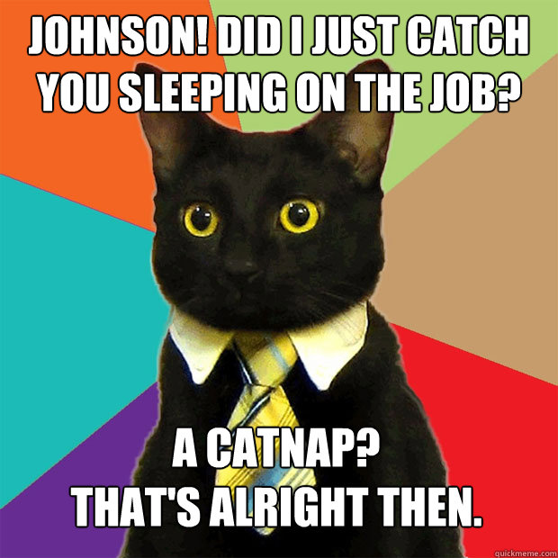johnson! did i just catch you sleeping on the job? a catnap? 
that's alright then.  Business Cat