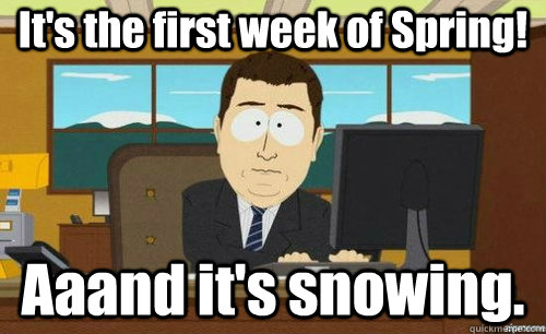 It's the first week of Spring! Aaand it's snowing.  anditsgone
