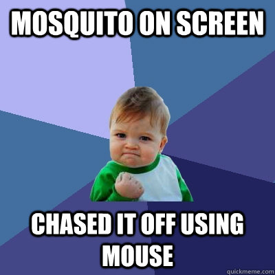mosquito on screen Chased it off using mouse  Success Kid