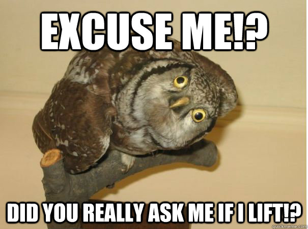 Excuse me!? Did you really ask me if I lift!? - Excuse me!? Did you really ask me if I lift!?  Confused Owl