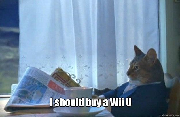 I should buy a Wii U  Sophisticated Cat