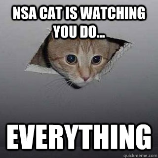 NSA cat is watching you do... everything  Ceiling Cat