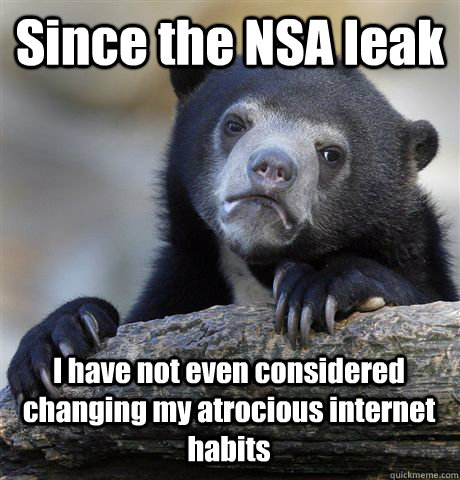 Since the NSA leak I have not even considered changing my atrocious internet habits  Confession Bear