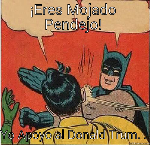 ¡ERES MOJADO PENDEJO! YO APOYO AL DONALD TRUM. . Batman Slapping Robin