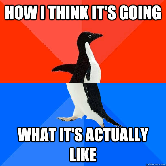 How I think it's going What it's actually like  Socially Awesome Awkward Penguin