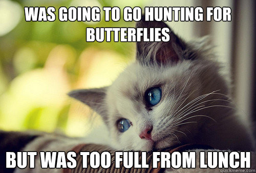 Was going to go hunting for butterflies but was too full from lunch  First World Cat Problems