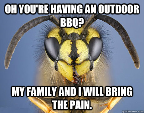 Oh you're having an outdoor BBQ? My family and I will bring the pain.  Obnoxious Wasp