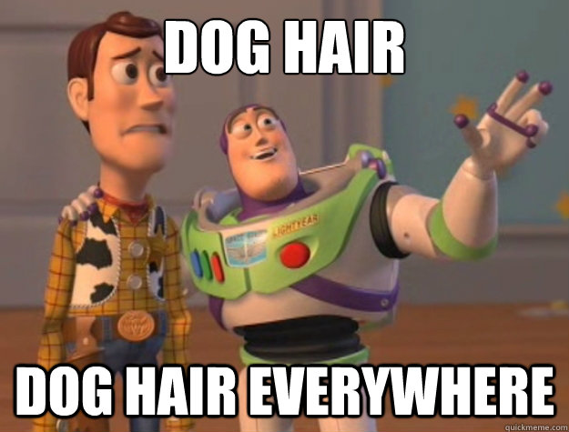 Dog Hair dog hair everywhere - Dog Hair dog hair everywhere  Buzz Lightyear