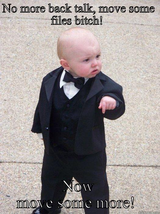NO MORE BACK TALK, MOVE SOME FILES BITCH!  NOW MOVE SOME MORE!  Baby Godfather