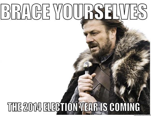 BRACE YOURSELVES  THE 2014 ELECTION YEAR IS COMING  Imminent Ned
