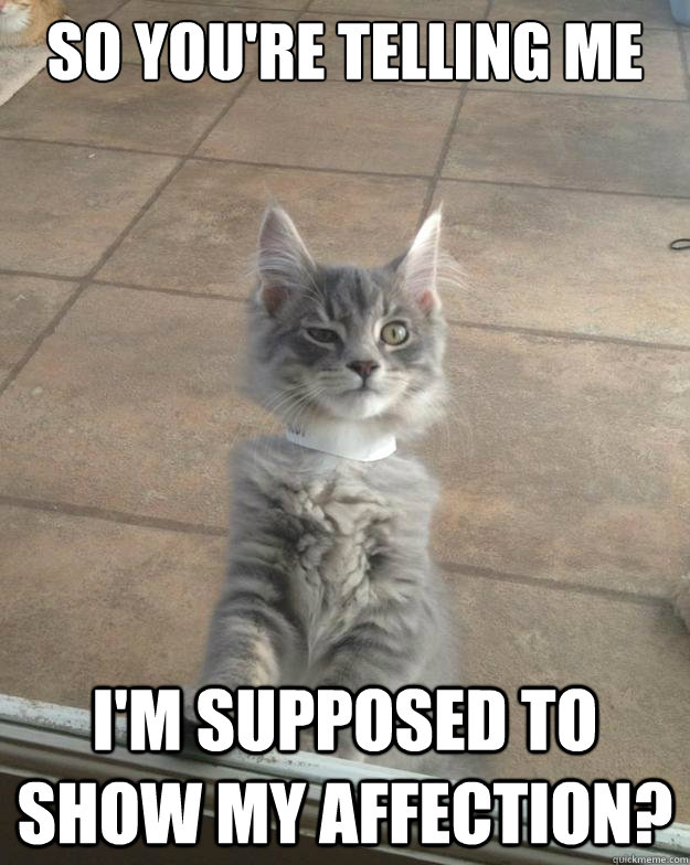 So you're telling me i'm supposed to show my affection?  