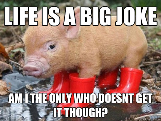 Life is a big joke am i the only who doesnt get it though?
 - Life is a big joke am i the only who doesnt get it though?
  Philosophically retarded pig