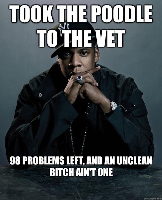 Took the poodle to the vet  98 problems left, and an unclean bitch ain't one - Took the poodle to the vet  98 problems left, and an unclean bitch ain't one  Jay Z Problems