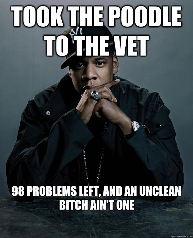 Took the poodle to the vet  98 problems left, and an unclean bitch ain't one  Jay Z Problems