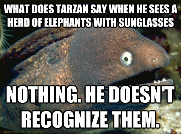 What does Tarzan say when he sees a herd of elephants with sunglasses Nothing. He doesn't recognize them.  Bad Joke Eel