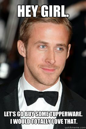 Hey girl. Let's go buy some Tupperware.
 I would totally love that.  Good Guy Ryan Gosling