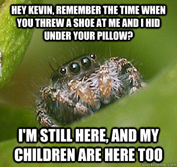 Hey Kevin, remember the time when you threw a shoe at me and I hid under your pillow? I'm still here, and my children are here too - Hey Kevin, remember the time when you threw a shoe at me and I hid under your pillow? I'm still here, and my children are here too  Misunderstood Spider