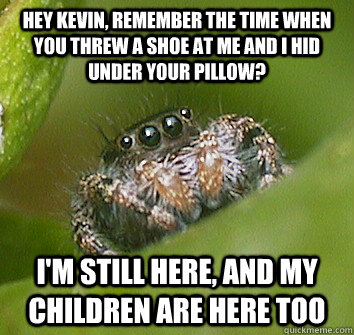 Hey Kevin, remember the time when you threw a shoe at me and I hid under your pillow? I'm still here, and my children are here too  Misunderstood Spider