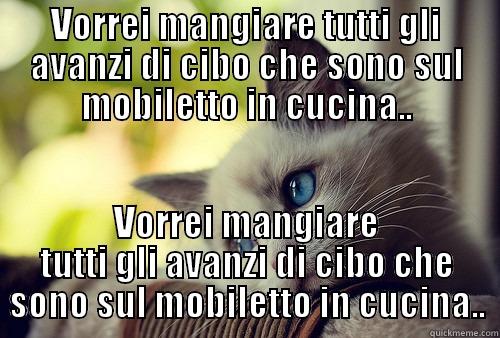 VORREI MANGIARE TUTTI GLI AVANZI DI CIBO CHE SONO SUL MOBILETTO IN CUCINA.. VORREI MANGIARE TUTTI GLI AVANZI DI CIBO CHE SONO SUL MOBILETTO IN CUCINA.. First World Problems Cat