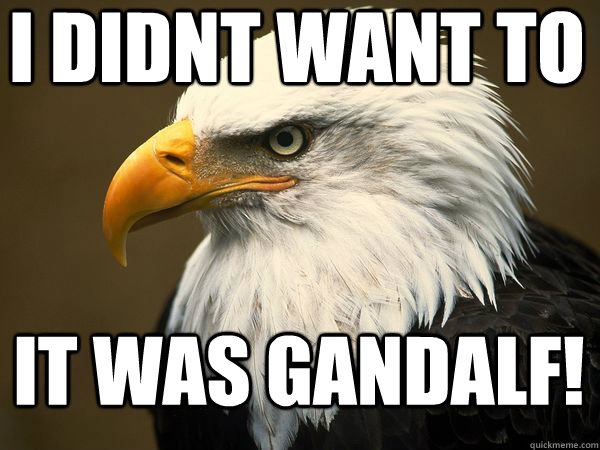 i didnt want to It was Gandalf! - i didnt want to It was Gandalf!  Misunderstood Eagle